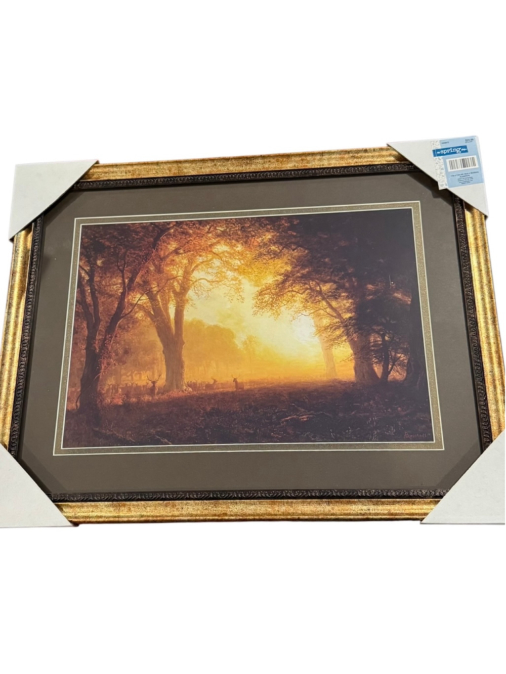 The Spring Shop Framed Forest Art Print One Size Gold Brown